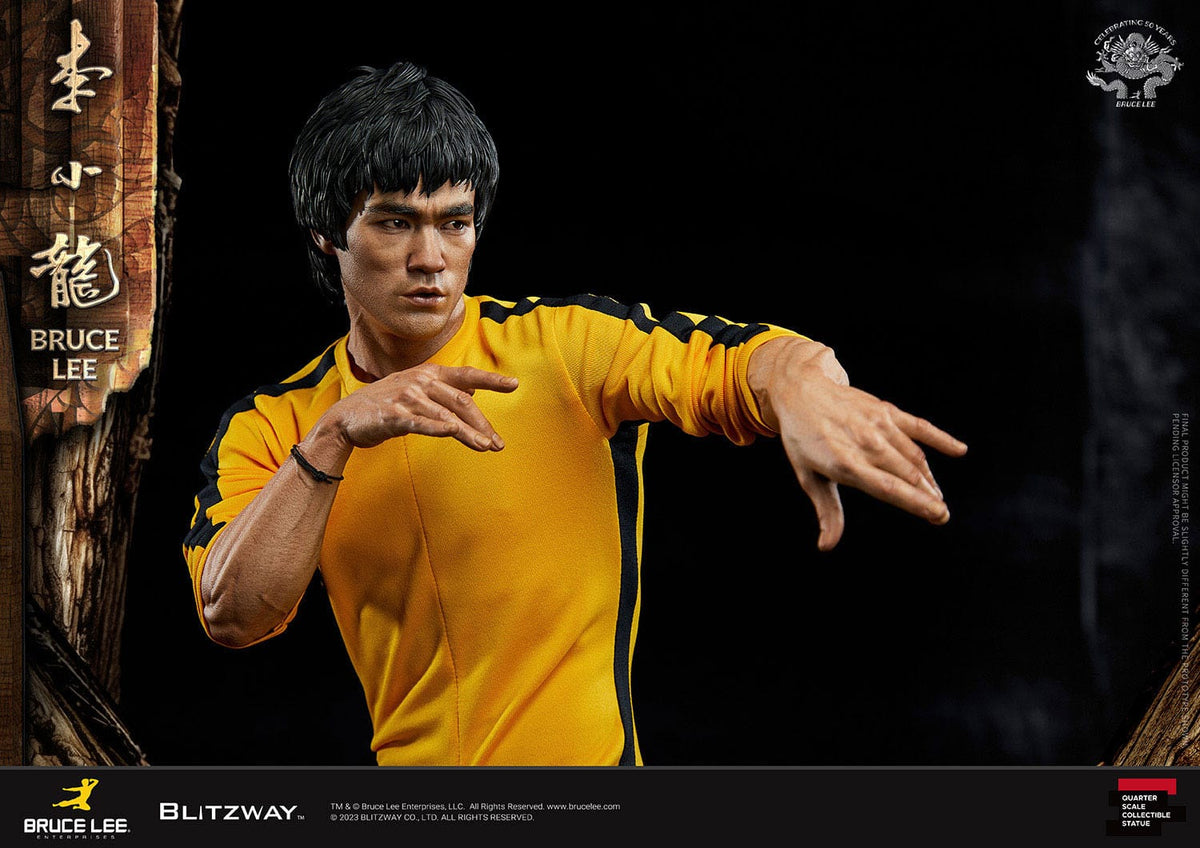 BlitzwayBruceLee50thAnniversaryTribute1_